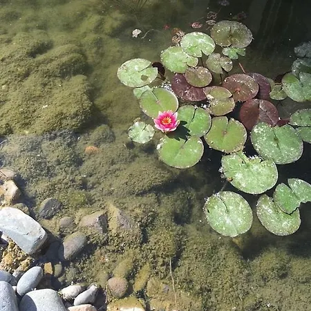 Destination Bulgaria 2000 Cascadas Private Summer Family 公寓 阳光海滩