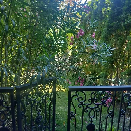 Destination Bulgaria 2000 Cascadas Private Summer Family Apartament Słoneczny Brzeg
