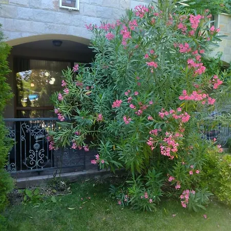 Apartament Destination Bulgaria 2000 Cascadas Private Summer Family *